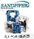 ٰ۵ӸĤSANDPIPERӸĤãЇ